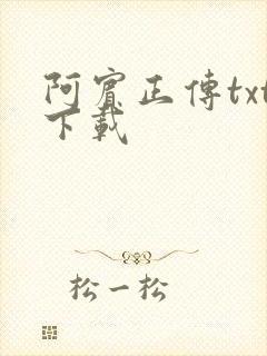 阿宾正传txt下载