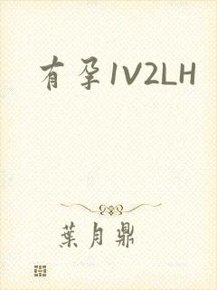 有孕1V2LH