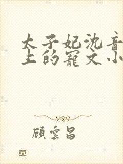 太子妃沈音和皇上的宠文小说