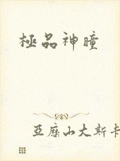 极品神瞳