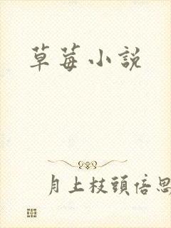 草莓小说