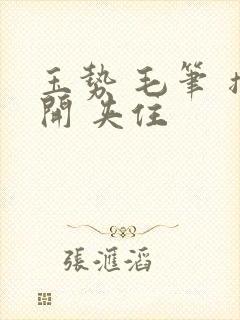 玉势 毛笔 撑开 夹住