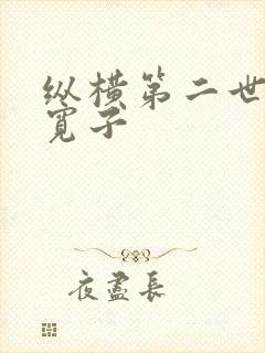 纵横第二世界 宽子
