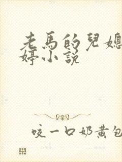 老马的儿媳顾婉婷小说