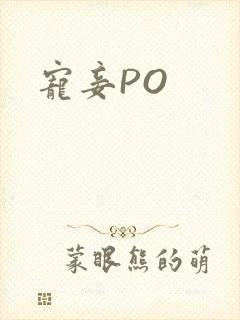 宠妾PO
