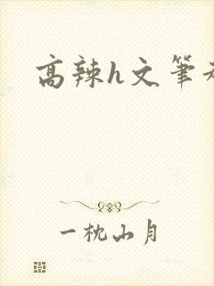 高辣h文笔趣阁