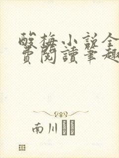 酸梅小说全文免费阅读笔趣阁