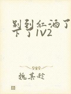 别到红酒了装不下了1V2