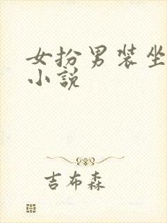 女扮男装坐江山小说