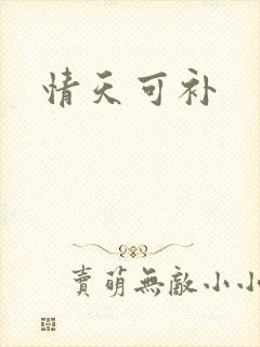 情天可补