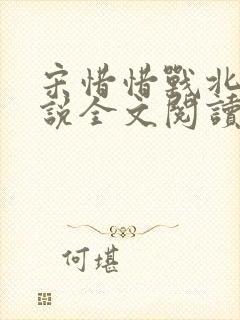 宋惜惜战北望小说全文阅读
