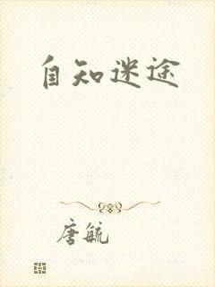 自知迷途
