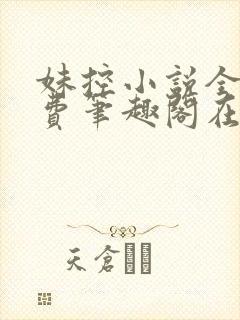 妹控小说全文免费笔趣阁在线阅读