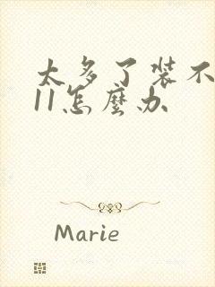 太多了装不下h11怎么办