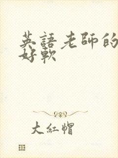 英语老师的兔子好软