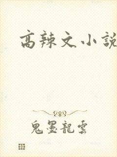 高辣文小说