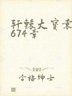 轩辕大宝袁雪妃674章