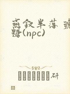 燕钗半落 琥珀糖(npc)