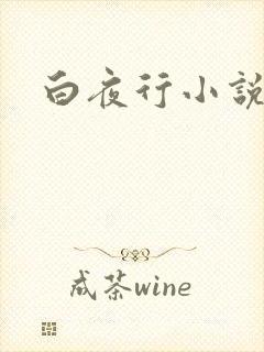 白夜行小说下载