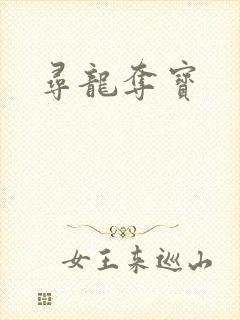 寻龙夺宝