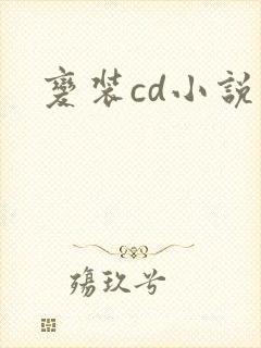 变装cd小说