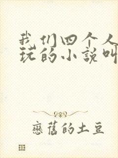我们四个人换着玩的小说叫什么