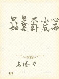 只是不小心发现她是卧底而已