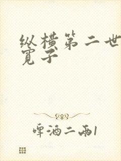 纵横第二世界 宽子