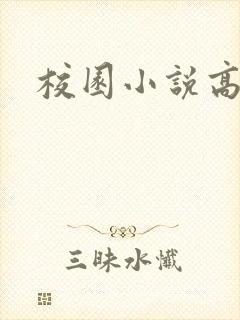 校园小说高h