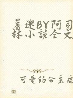 着迷BY阿司匹林小说全文免费阅读