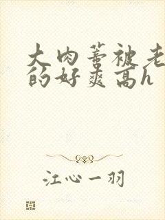 大肉蒂被老头嘬的好爽高h