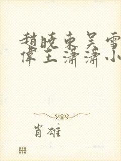 赵晓东吴雪晴郑伟王潇潇小说