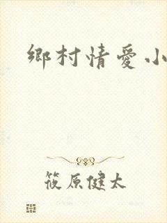 乡村情爱小说