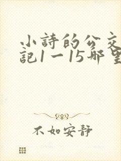 小诗的公交车日记1一15哪里能看