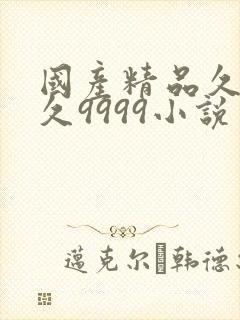 国产精品久久久久9999小说