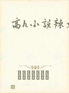 高h小说辣文
