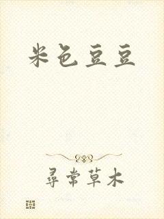 米色豆豆