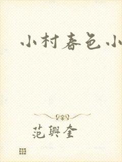 小村春色小说