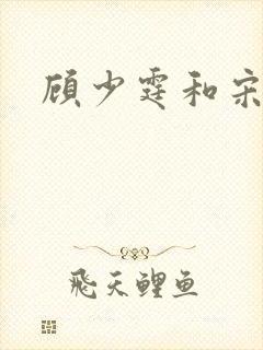 顾少霆和宋斯曼