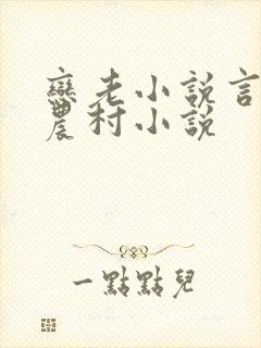 恋老小说言情网农村小说