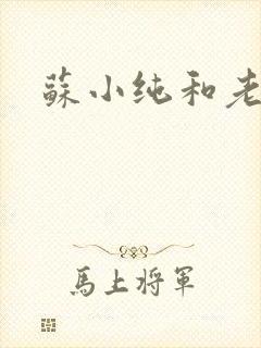 苏小纯和老苏
