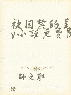 被囚禁的美人by小说免费阅读