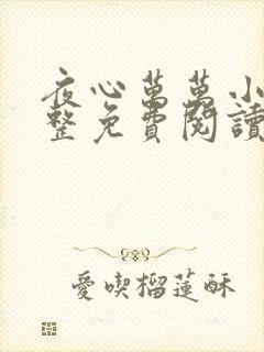 夜心万万小说完整免费阅读全文