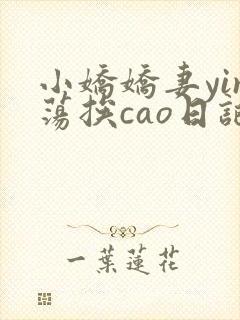 小娇娇妻yin荡挨cao日记