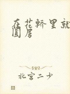 在花轿里就开始圆房