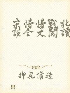 宋惜惜战北望小说全文阅读