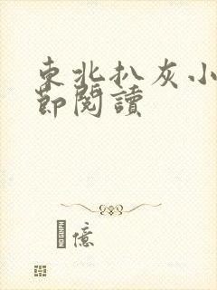 东北扒灰小说分节阅读