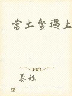 当土鳖遇上海龟