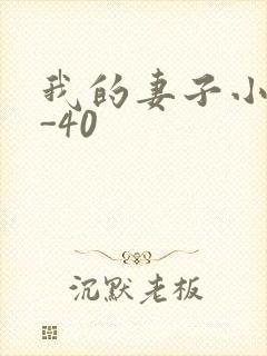我的妻子小谨1-40