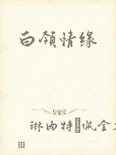 白领情缘